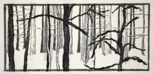 A Walk in te Woods, 2014